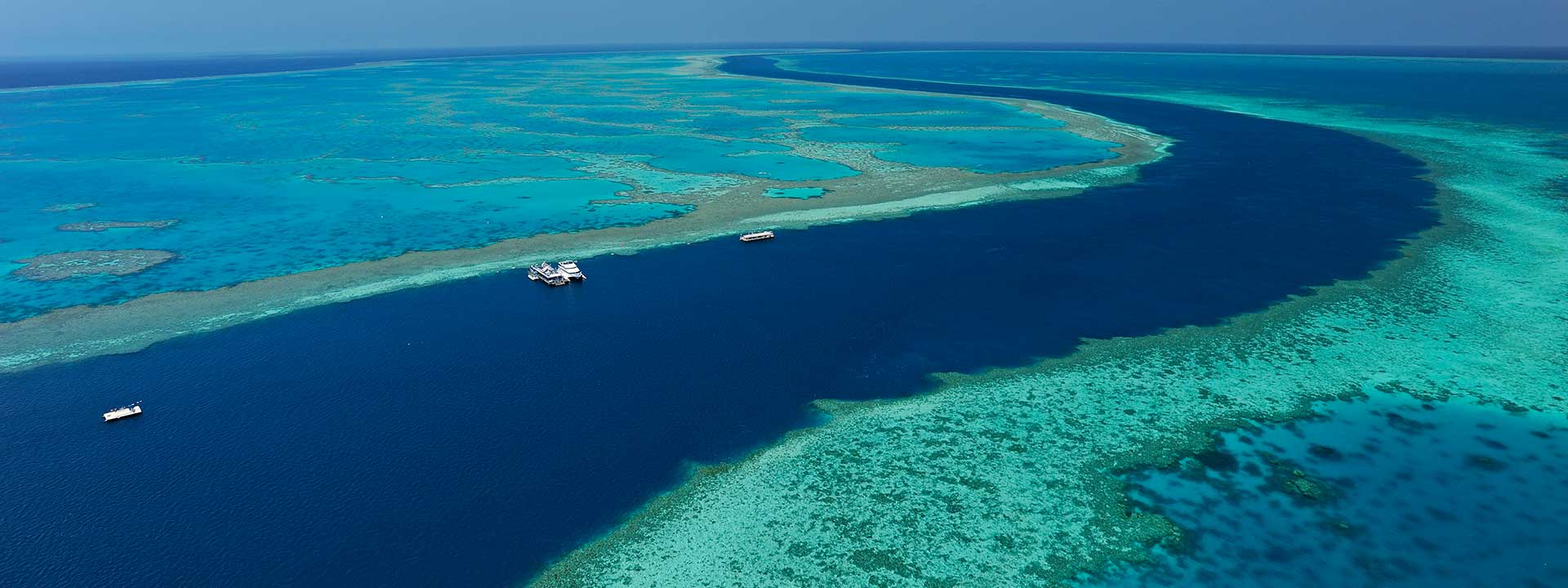 See Hamilton Things to See & Do | Official Hamilton Island Holiday Homes